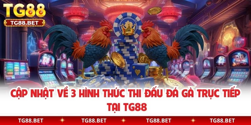 Cập nhật về 3 hình thức thi đấu đá gà trực tiếp tại TG88